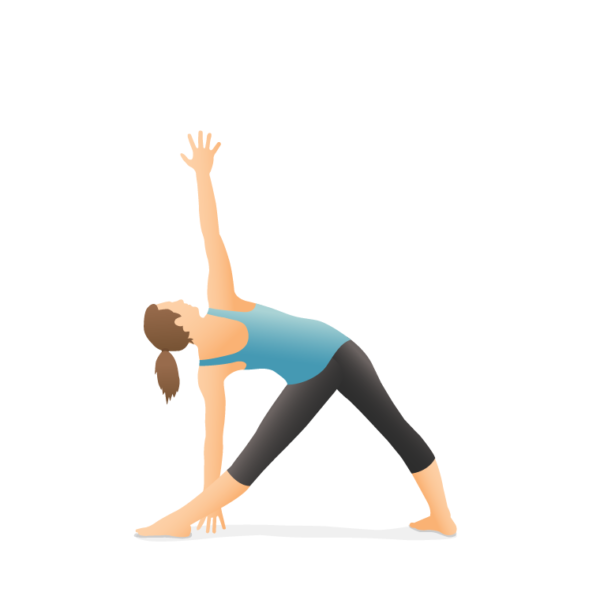 trikonasana triangle pose