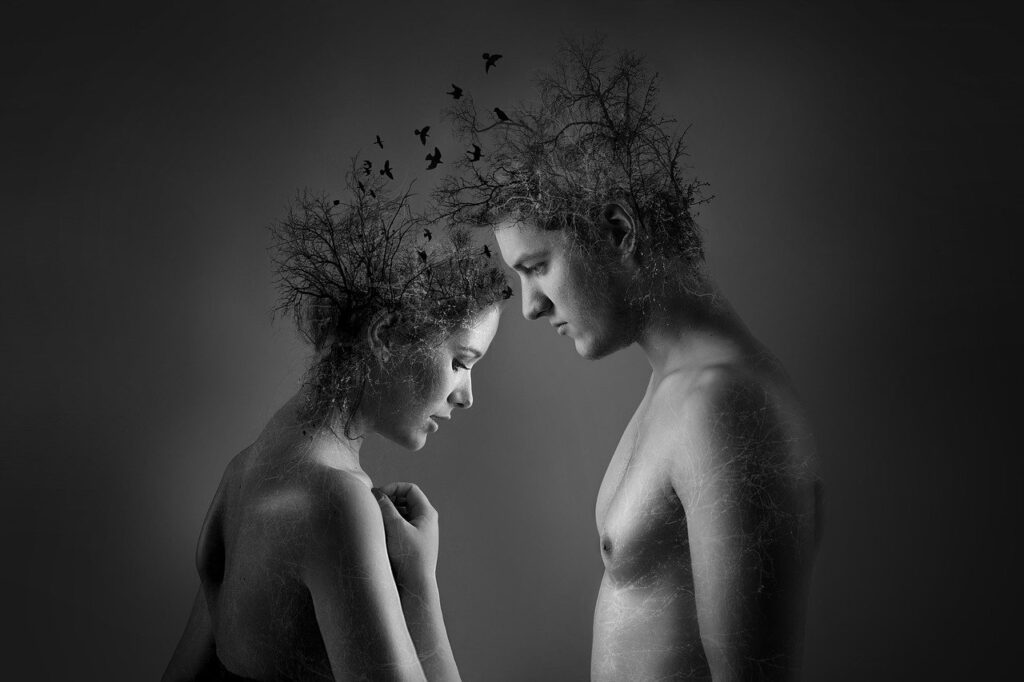 twin flames